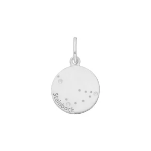 Anhänger ZODIAC SIGN, 925 Sterlingsilber-LEAF New