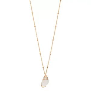 Halskette Canarium Sea Snail, 18 Karat Rosegold vergoldet-LEAF Discount