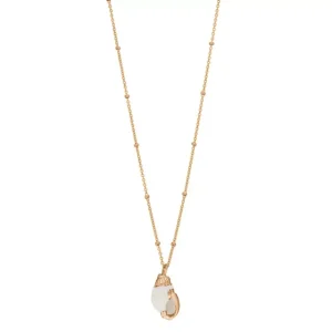 Halskette Canarium Sea Snail, 18 Karat Rosegold vergoldet-LEAF Discount