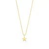 Halskette STAR, 14 Karat Gelbgold-LEAF New