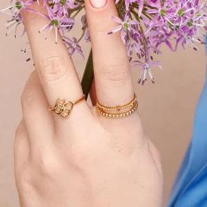 Ring Gorgeous, Labradorit, 18 K Rosegold vergoldet, Gr.50-LEAF Outlet